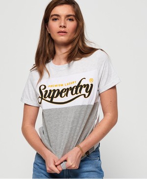 Superdry Premium Luxe Colour Block Boxy Női Pólók Szürke | WVRHE9187